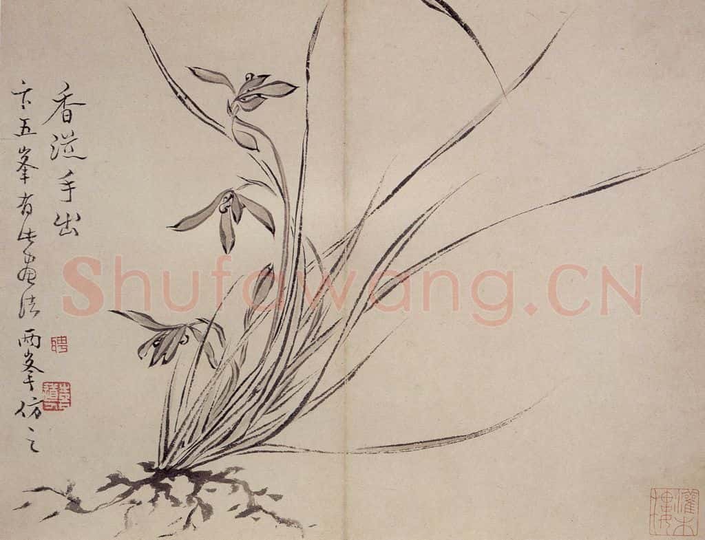 清 罗聘《兰花册》书画作品