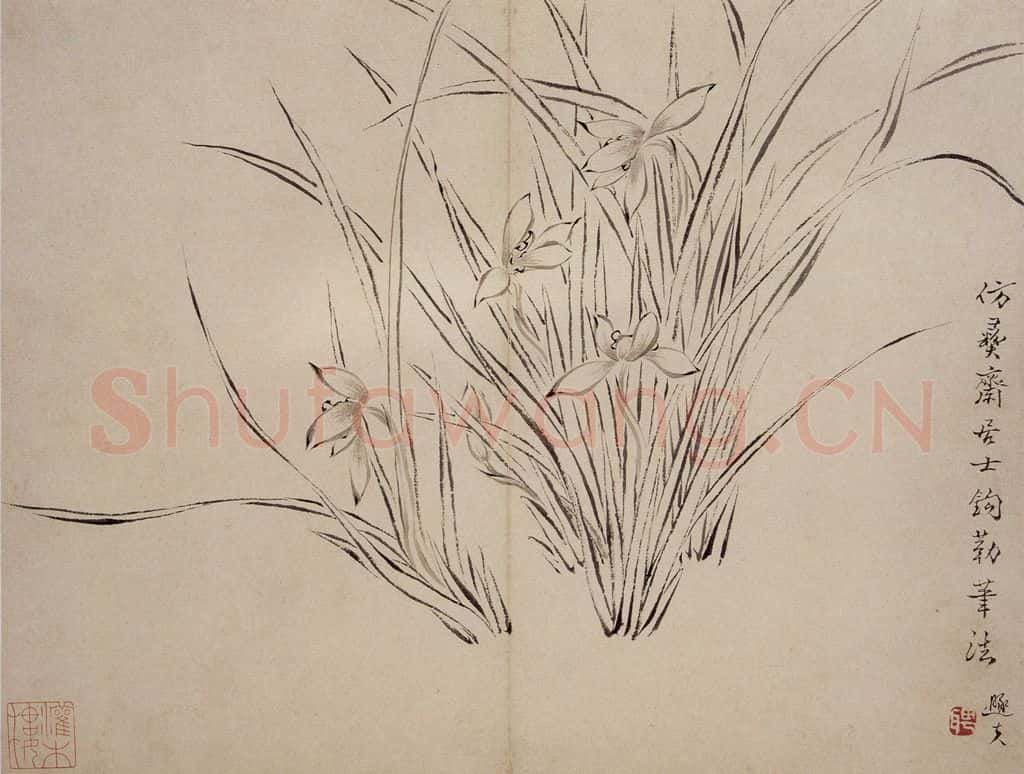 清 罗聘《兰花册》书画作品