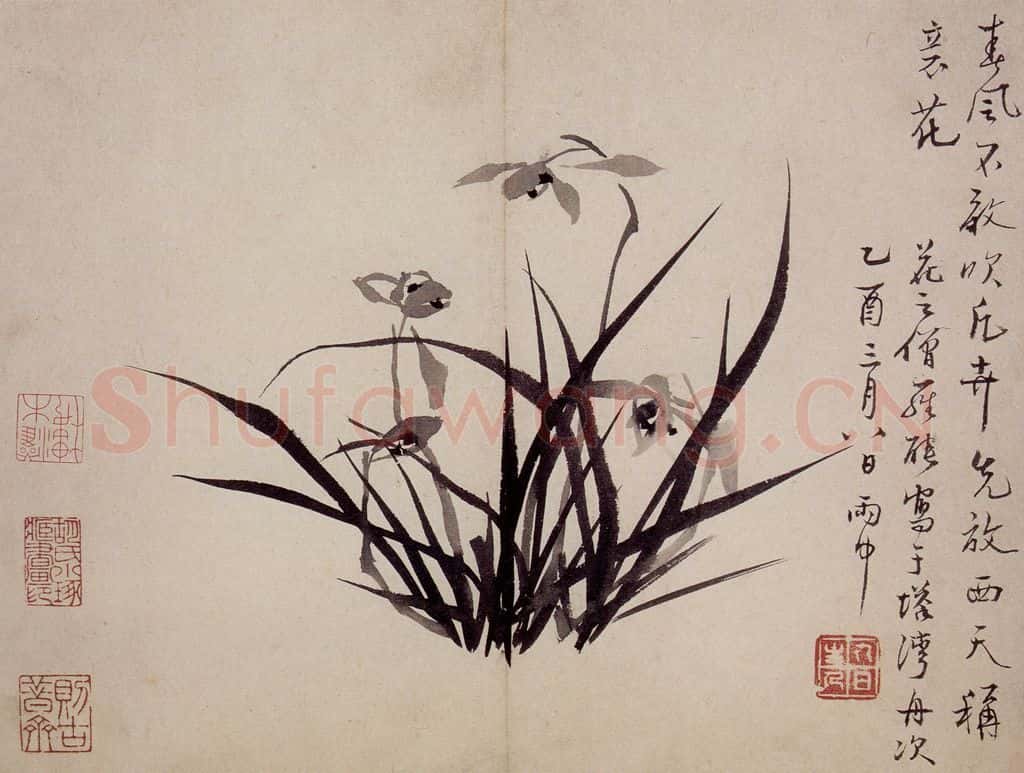 清 罗聘《兰花册》书画作品