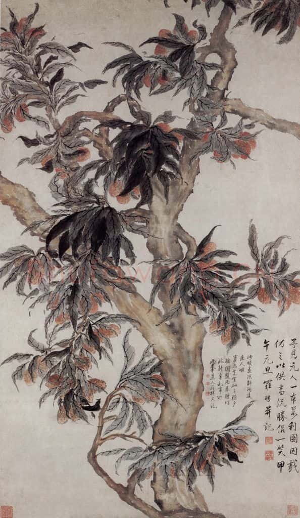清 罗聘《荔枝图》书画作品