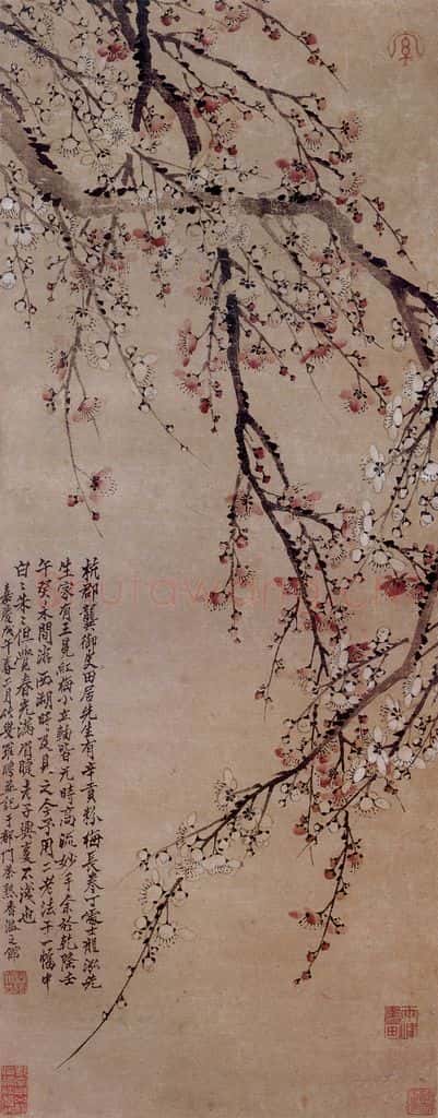 清 罗聘《二色梅花图》书画作品