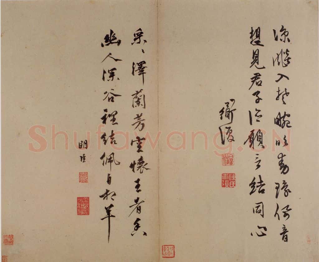  陈淳《书画册》书画作品