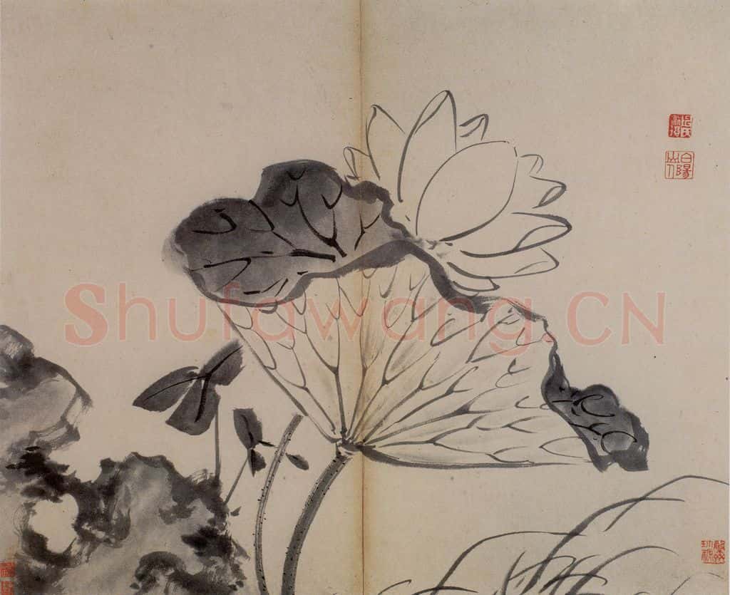 陈淳《书画册》书画作品