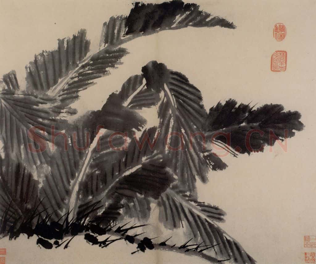 陈淳《书画册》书画作品