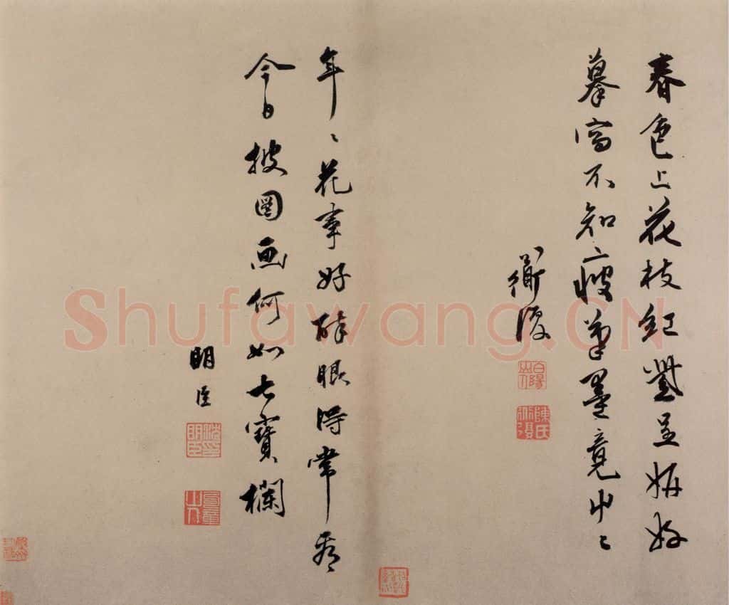 陈淳《书画册》书画作品