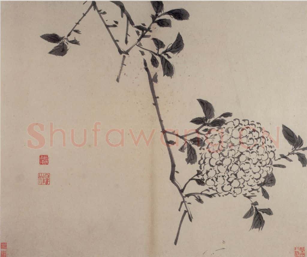 陈淳《书画册》书画作品