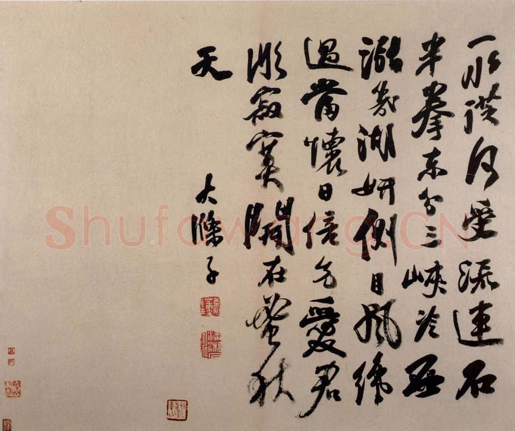  陈淳《书画册》书画作品