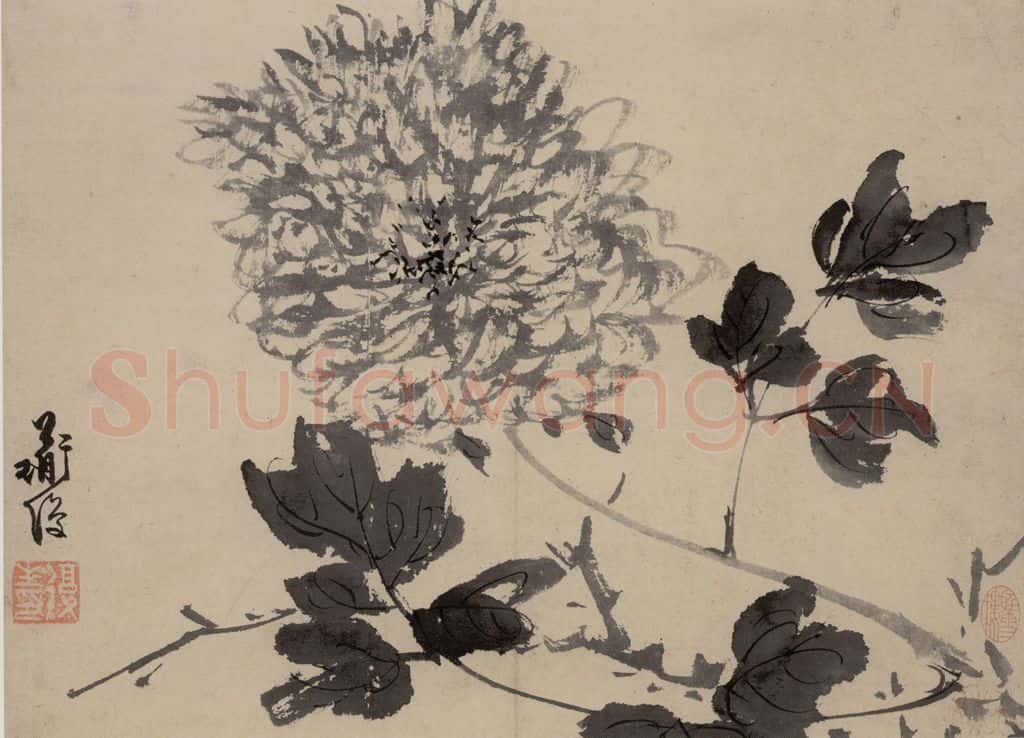 陈淳《花卉图》书画作品