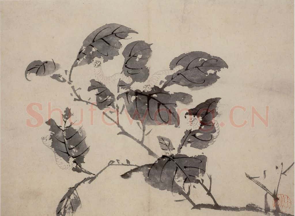 陈淳《花卉图》书画作品