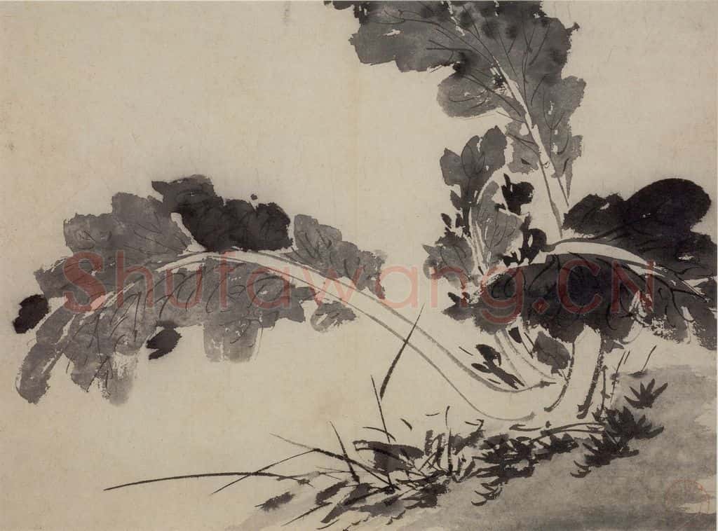 陈淳《花卉图》书画作品