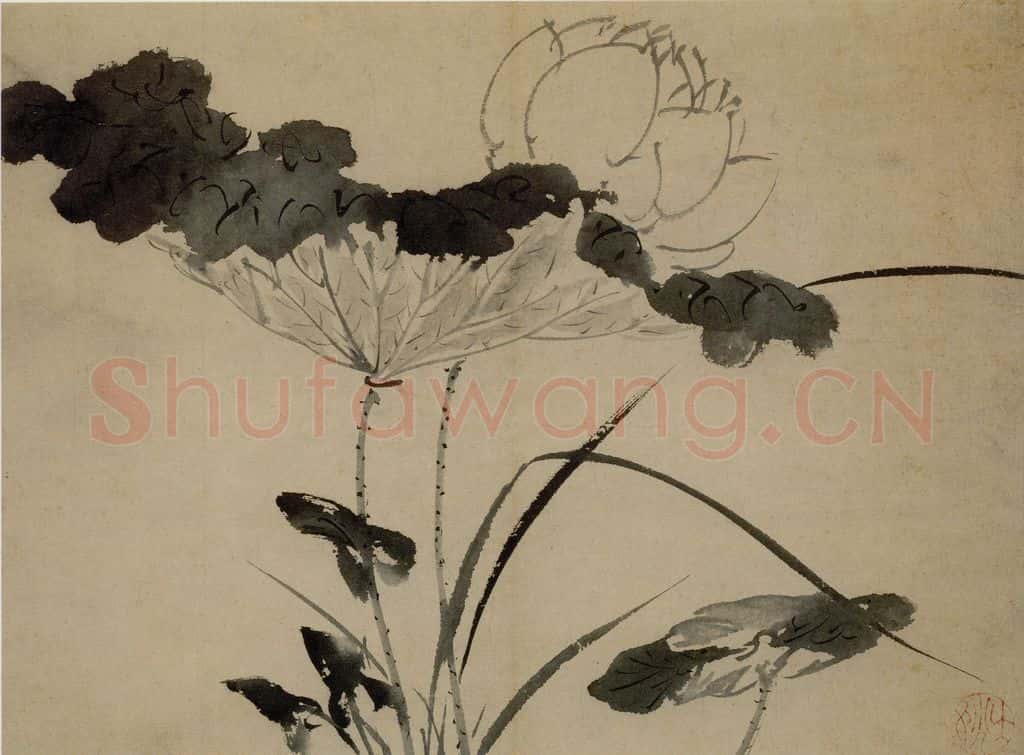  陈淳《花卉图》书画作品