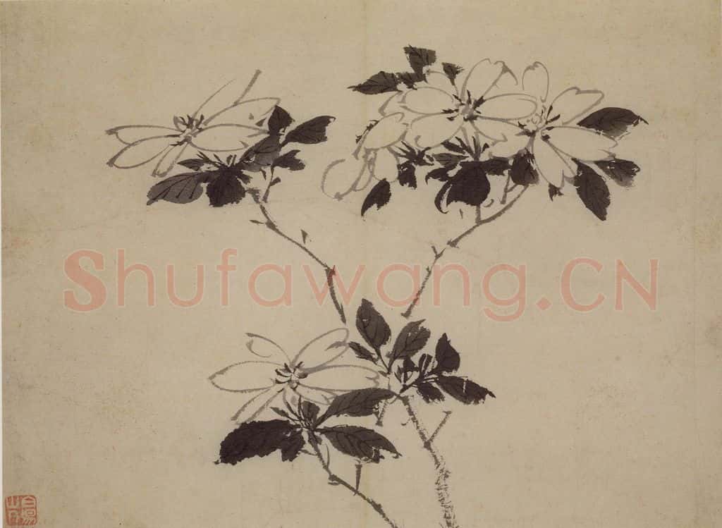 陈淳《花卉图》书画作品