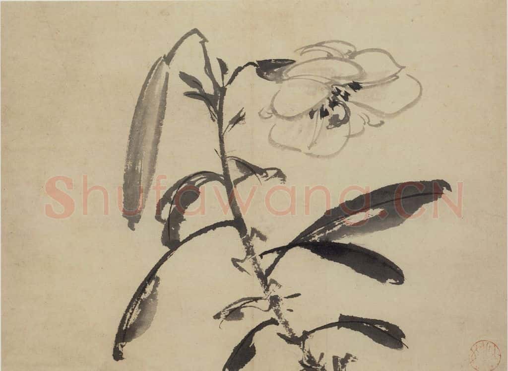 陈淳《花卉图》书画作品