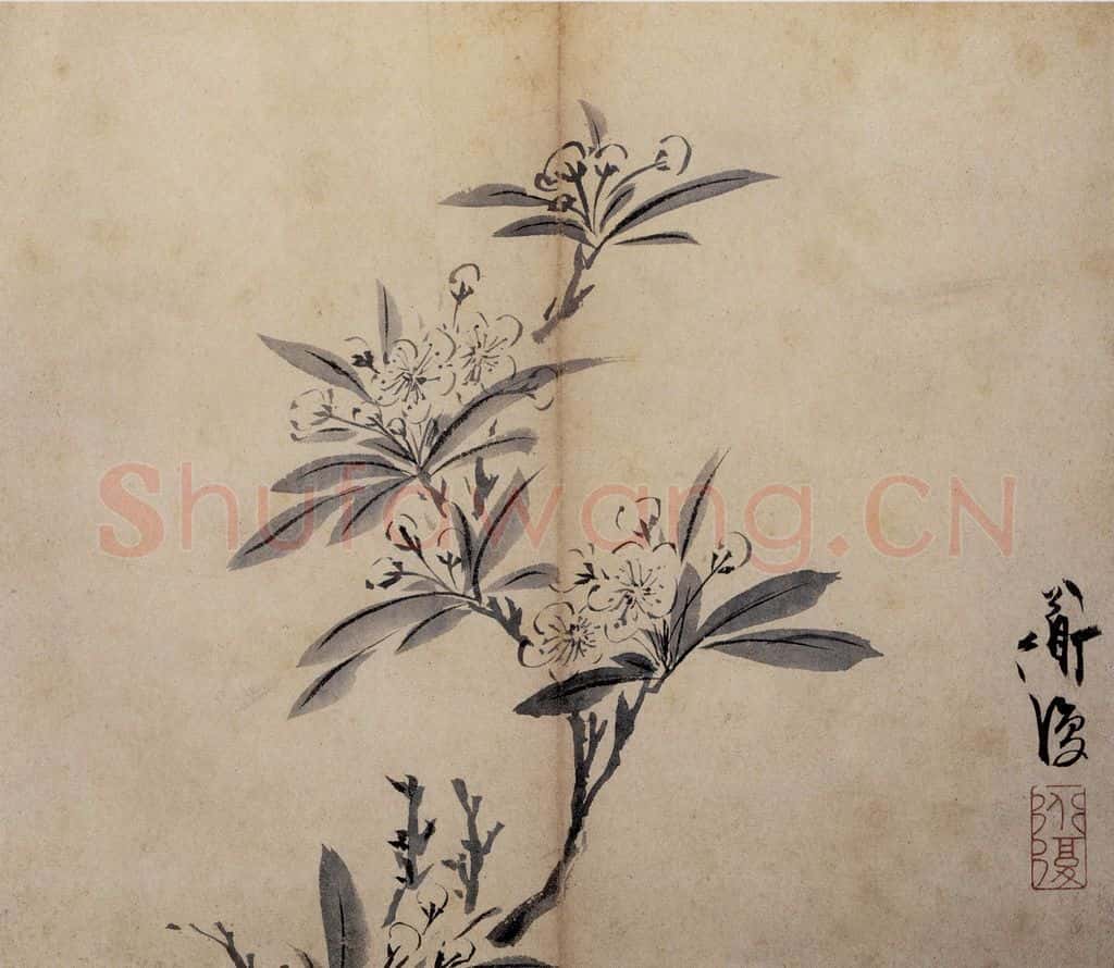 陈淳《花卉册》书画作品