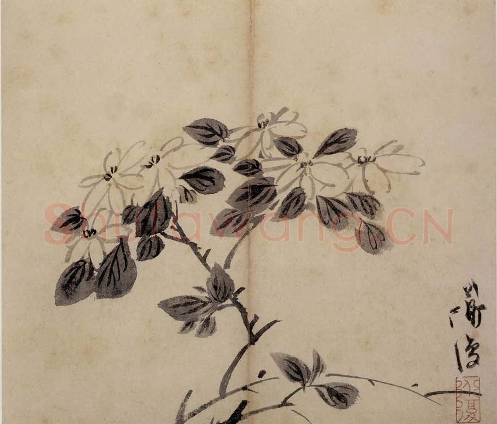 陈淳《花卉册》书画作品