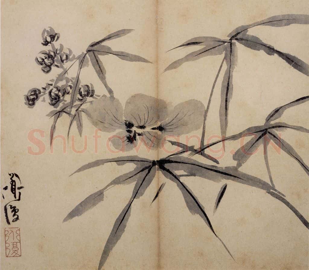  陈淳《花卉册》书画作品