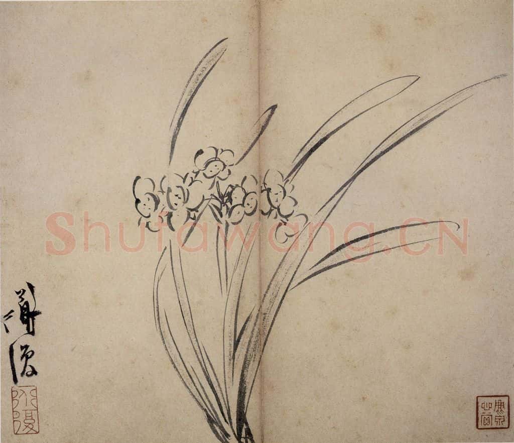 陈淳《花卉册》书画作品