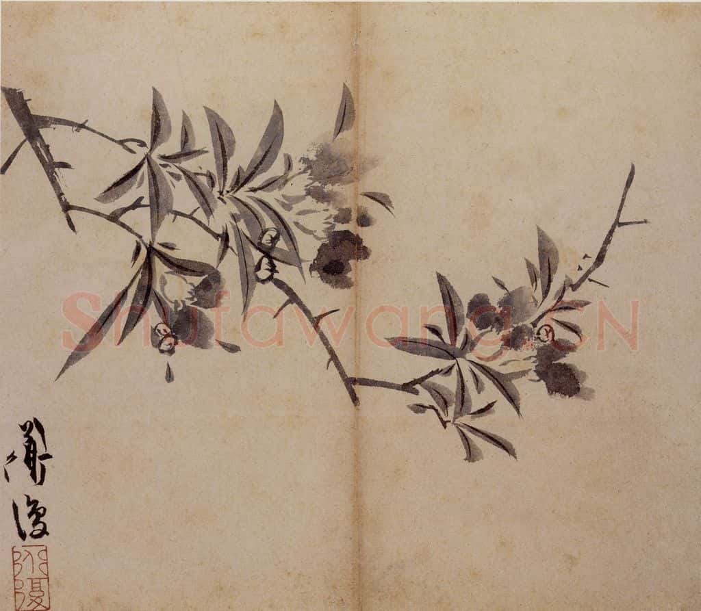 陈淳《花卉册》书画作品