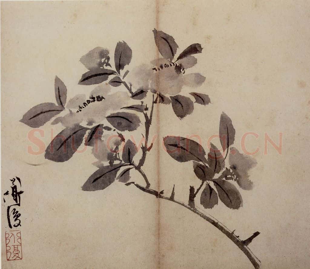 陈淳《花卉册》书画作品