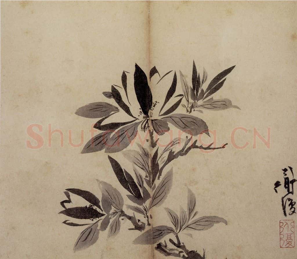 陈淳《花卉册》书画作品