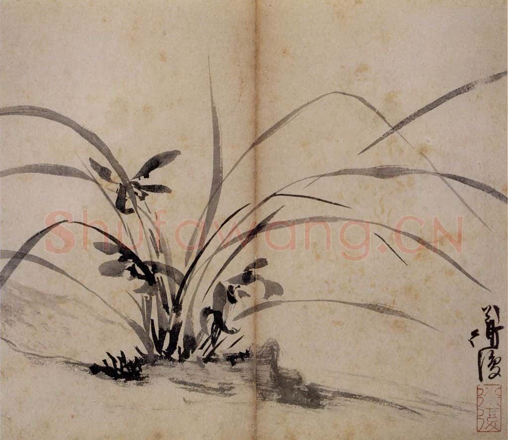  陈淳《花卉册》书画作品