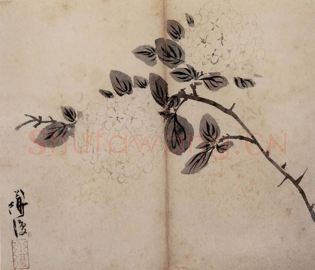 陈淳《花卉册》书画作品