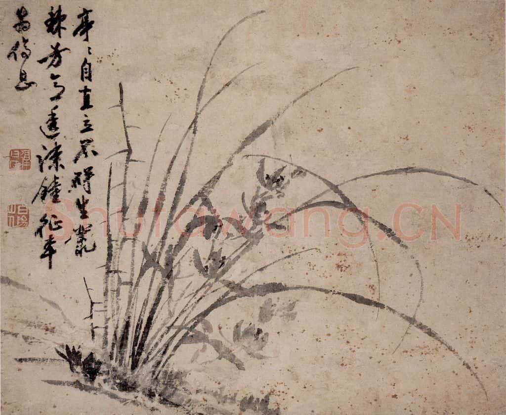  陈淳《兰花图》书画作品
