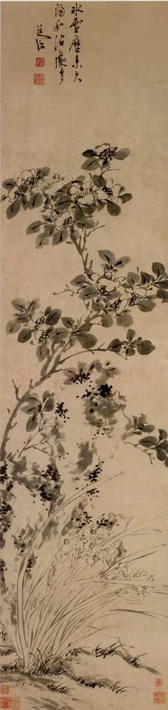 陈淳《山茶水仙图》书画作品