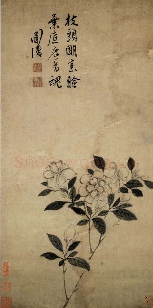 陈淳《栀子花图》书画作品