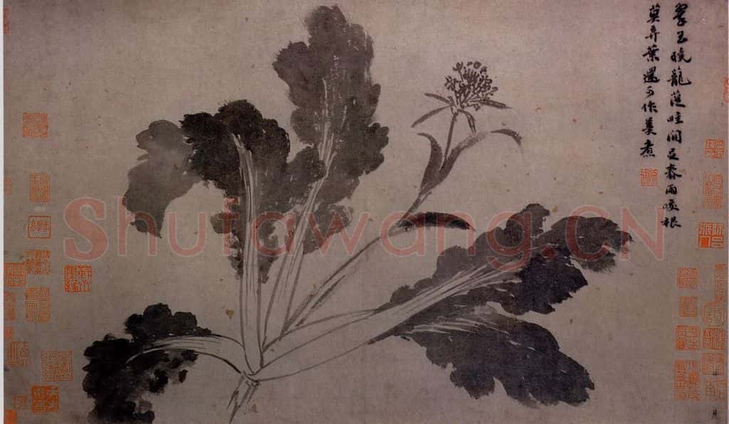 不明 沈周《墨莱辛夷图》书画作品