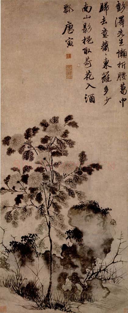 不明 唐寅《菊花图》书画作品