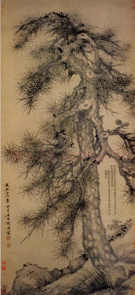1480年 沈周《松石图》书画作品