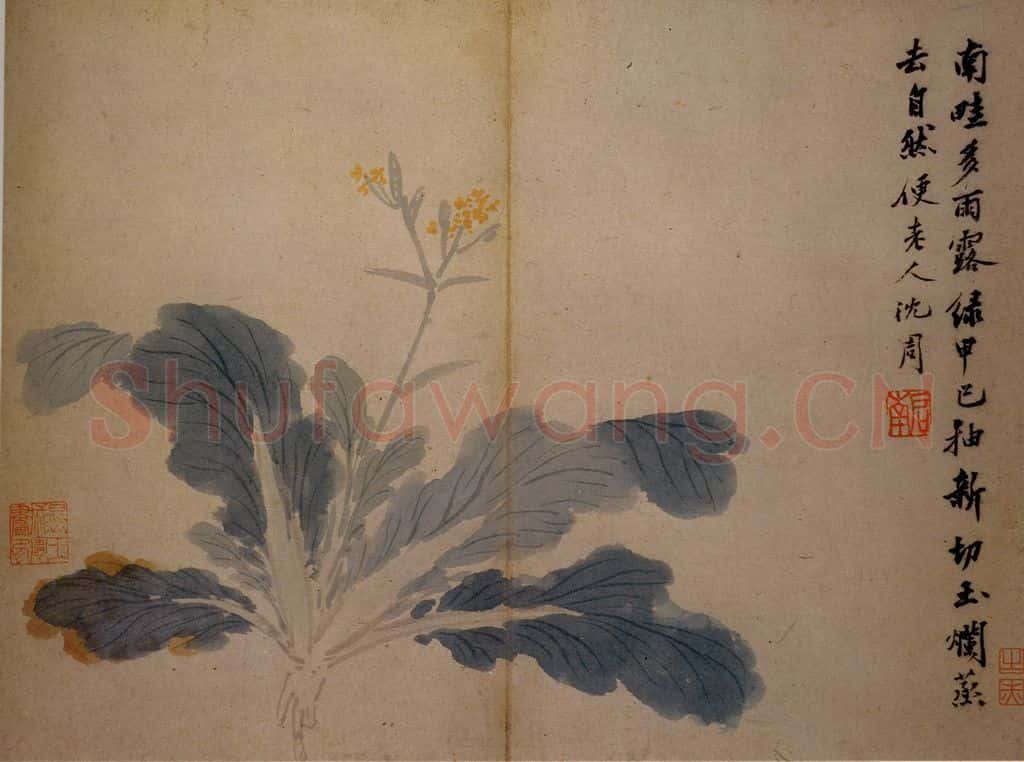 不明 沈周《卧游图》书画作品