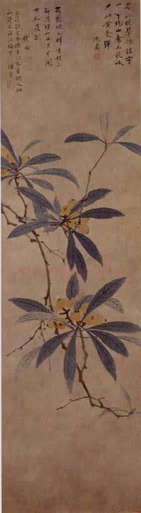 不明 沈周《枇杷图》书画作品