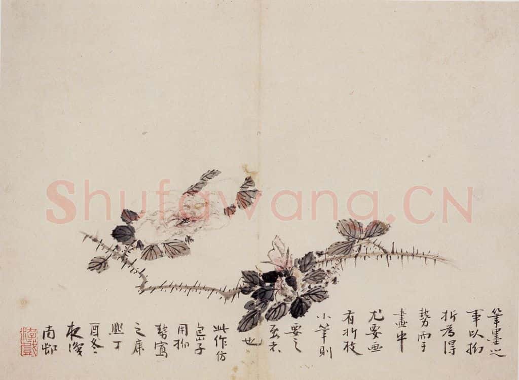 清 高凤翰《花卉册十开》书画作品