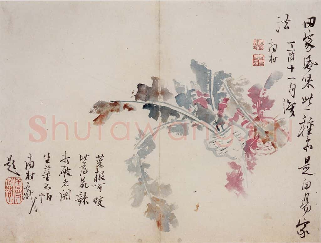 清 高凤翰《花卉册十开》书画作品