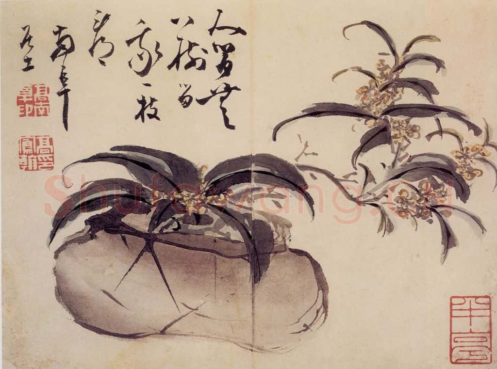清 高凤翰《花卉册》书画作品