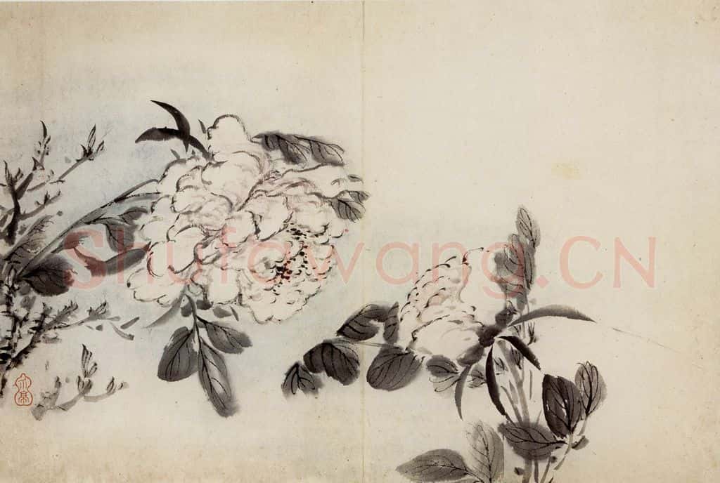 清 高凤翰《花卉册十开》书画作品