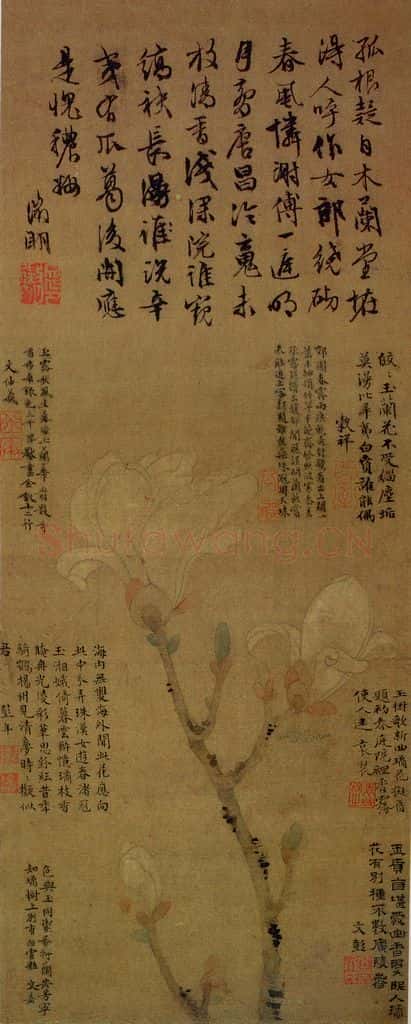 明代 文征明《玉兰图》书画作品