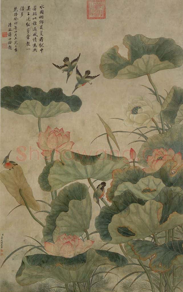 清代 蒋廷锡《荷花翠鸟》书画作品