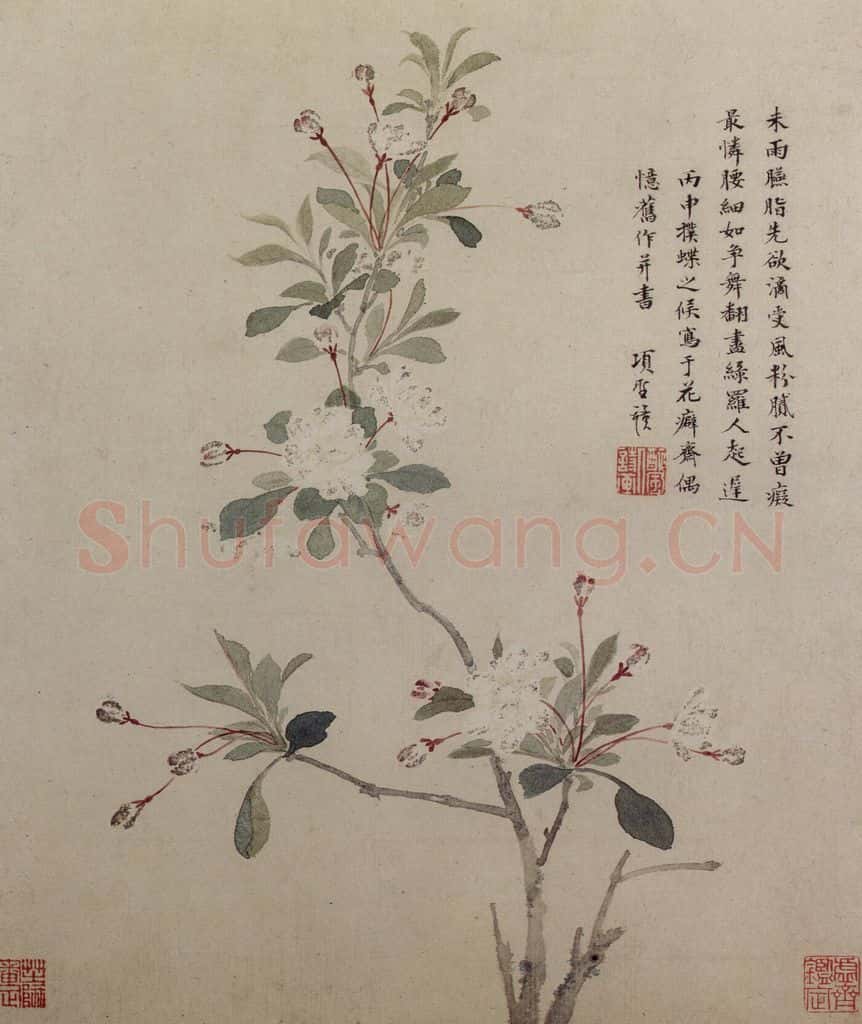 明 项圣谟《花卉图册》书画作品