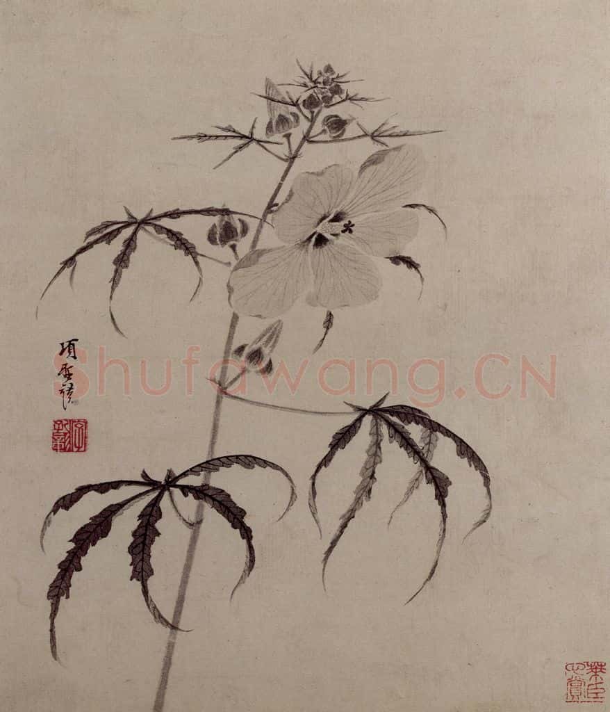 明 项圣谟《花卉图册》书画作品