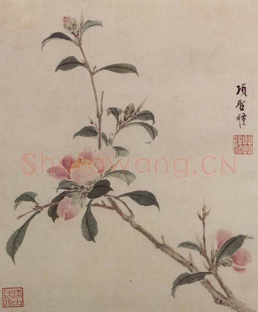 明 项圣谟《花卉图册》书画作品