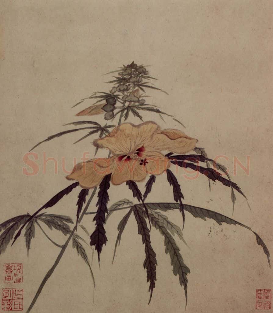明 项圣谟《易庵妙绘图册》书画作品