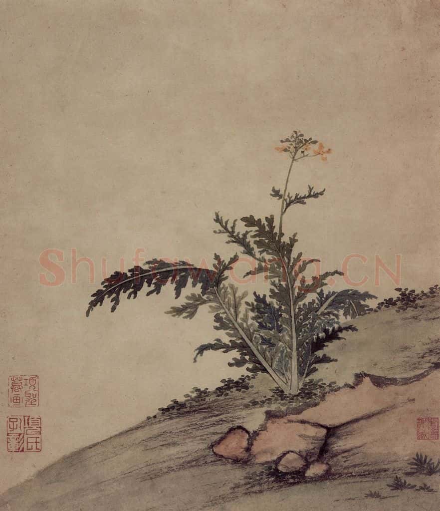 明 项圣谟《易庵妙绘图册》书画作品
