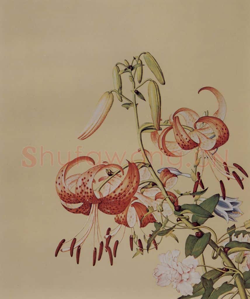 清 朗世宁《仙萼长春图——百合缠枝牡丹》书画作品