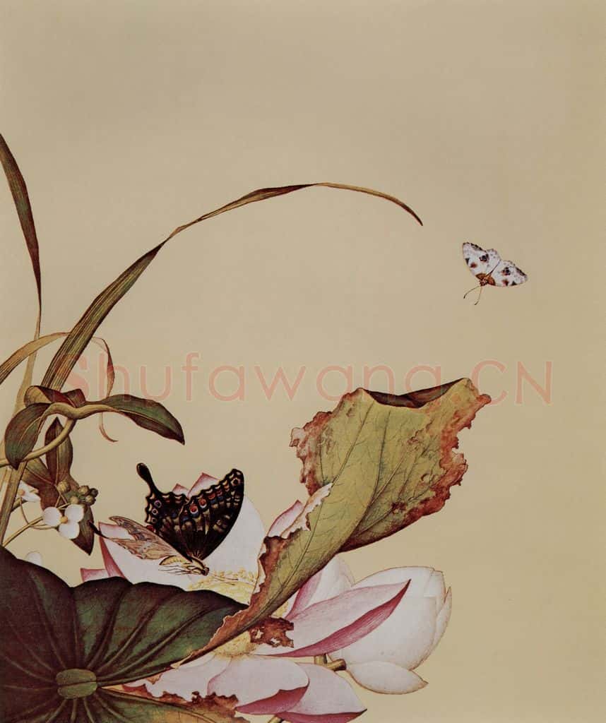 清 朗世宁《仙萼长春图——荷花慈姑》书画作品