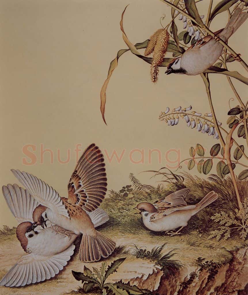 清 朗世宁《仙萼长春图——谷花稷穗》书画作品