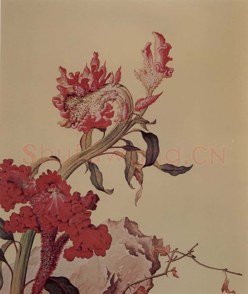 清 朗世宁《仙萼长春图——鸡冠花》书画作品