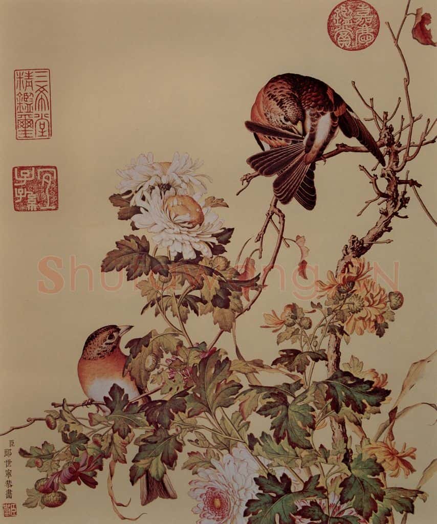 清 朗世宁《仙萼长春图——菊花》书画作品